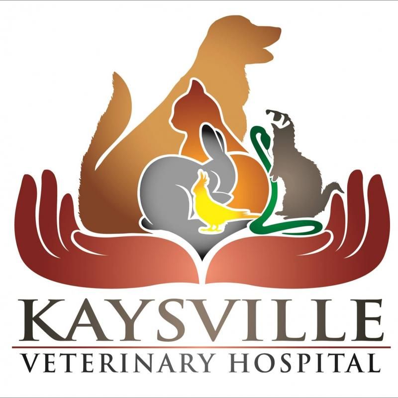Kaysville Veterinary Hospital